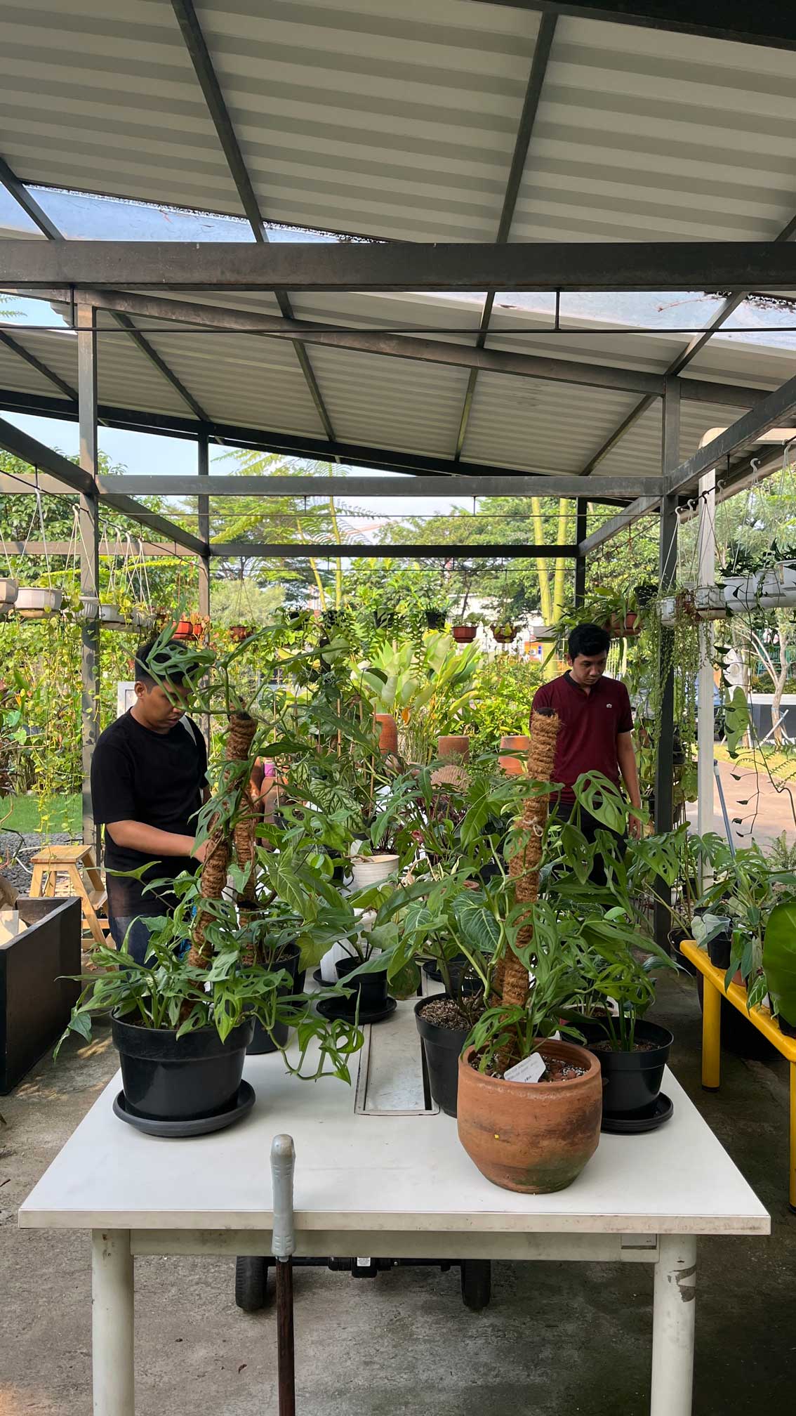 corridoor Gallery Image